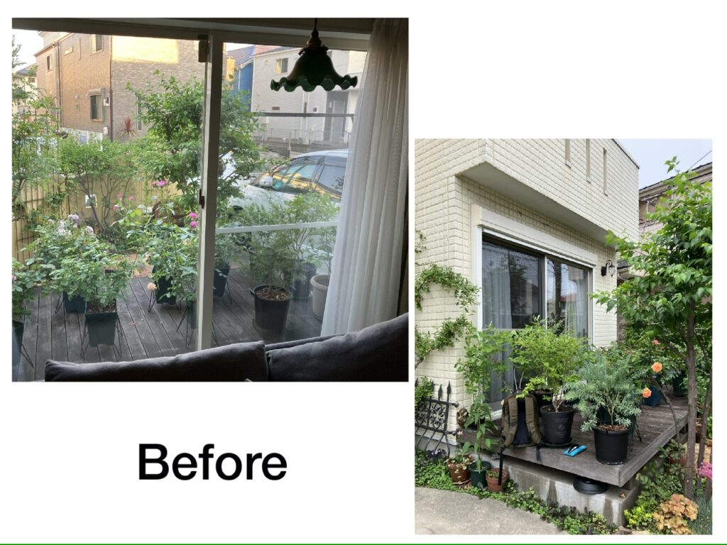 施工前写真。解体前のウッドデッキと、沢山並べられた鉢植えのバラ。
